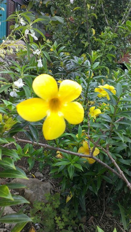 Kinabalu Poring Vacation Lodge Kampung Poring Zewnętrze zdjęcie
